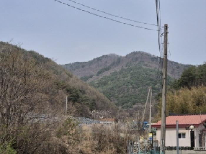 2025타경10419 경매 물건 대표 사진