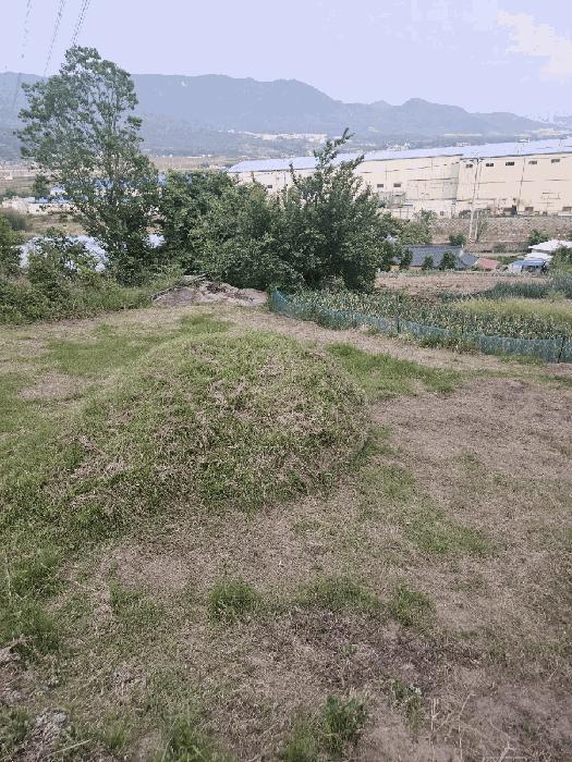 2025타경10477 경매 물건 대표 사진
