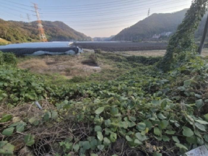2025타경10678 경매 물건 대표 사진