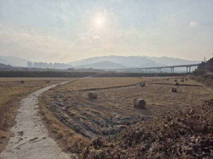 2025타경10798 경매 물건 대표 사진