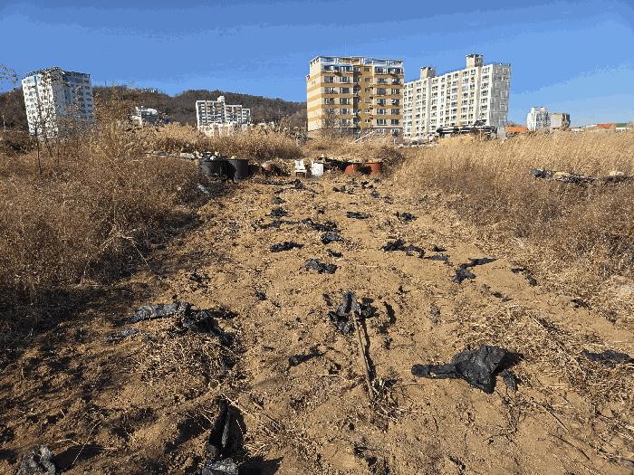 2025타경10833 경매 물건 대표 사진