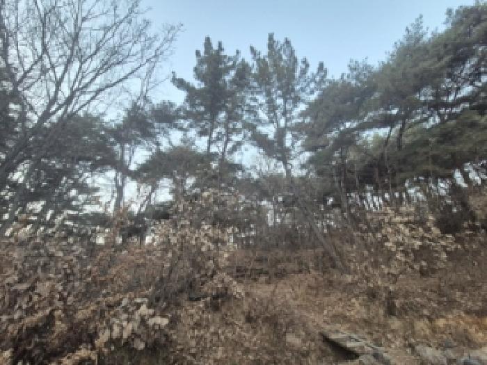 2025타경10834 경매 물건 대표 사진