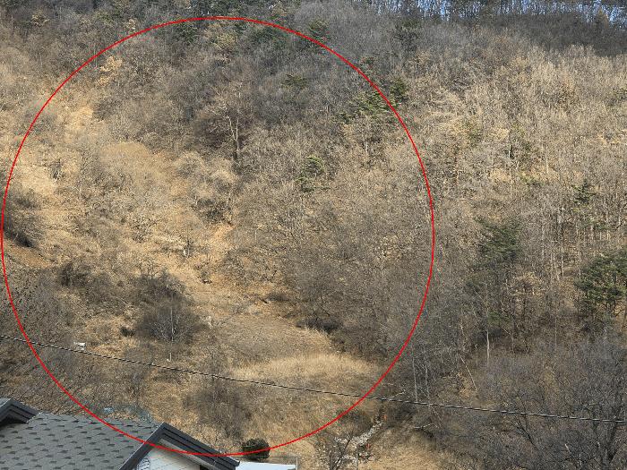 2025타경10844 경매 물건 대표 사진