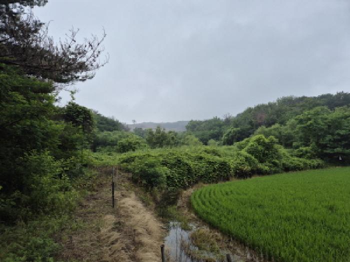 2025타경435 경매 물건 대표 사진