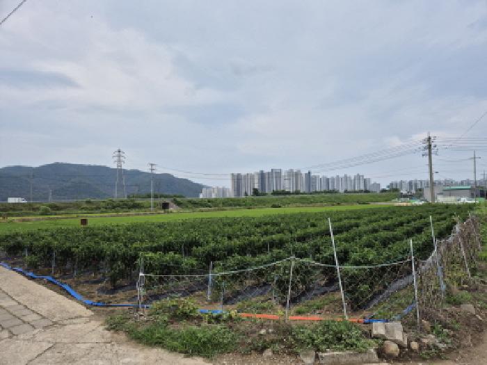 2025타경458 경매 물건 대표 사진
