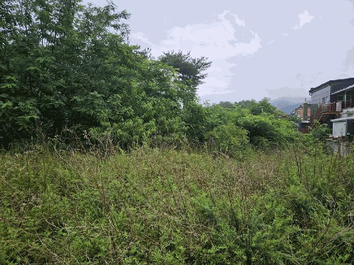 2025타경465 경매 물건 대표 사진