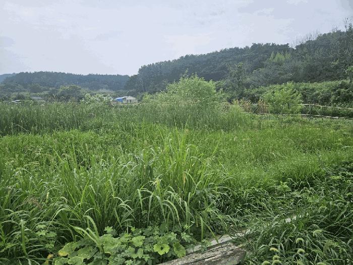 2025타경479 경매 물건 대표 사진