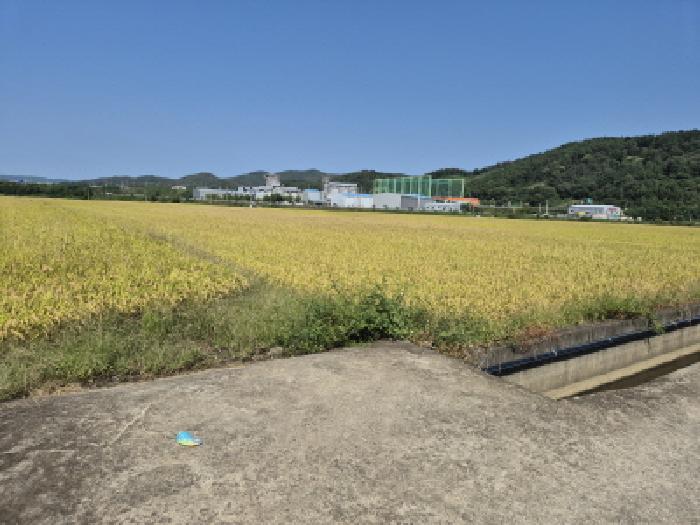 2025타경531 경매 물건 대표 사진