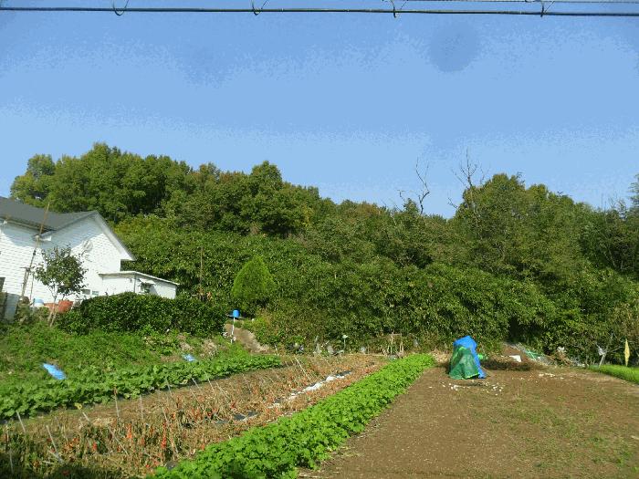 2025타경554 경매 물건 대표 사진