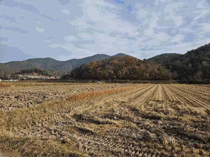 2025타경594 경매 물건 대표 사진