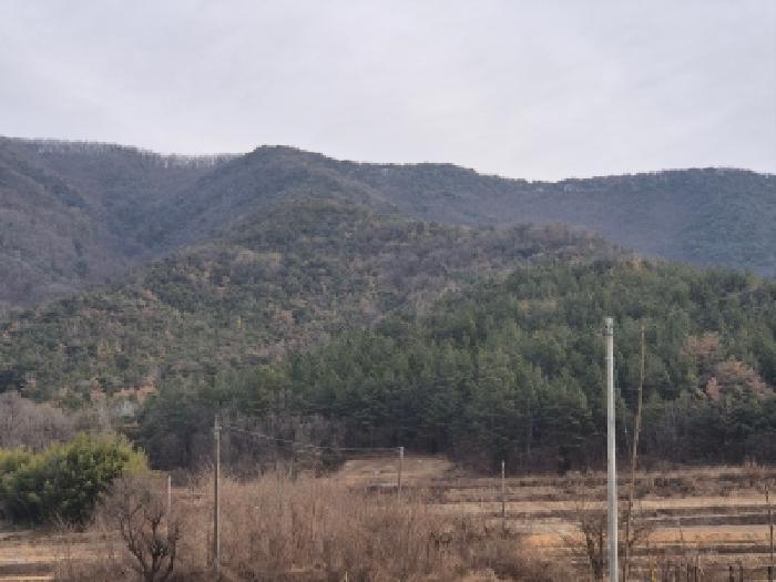 2026타경9 경매 물건 대표 사진