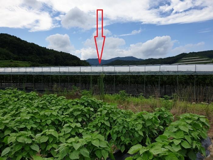 2024타경14830 경매 물건 대표 사진