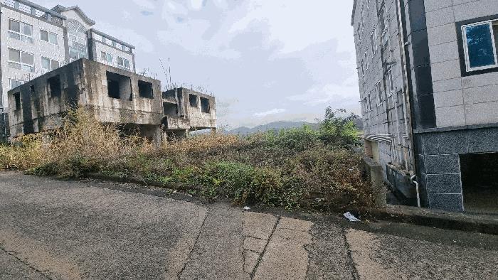2024타경2981 경매 물건 대표 사진
