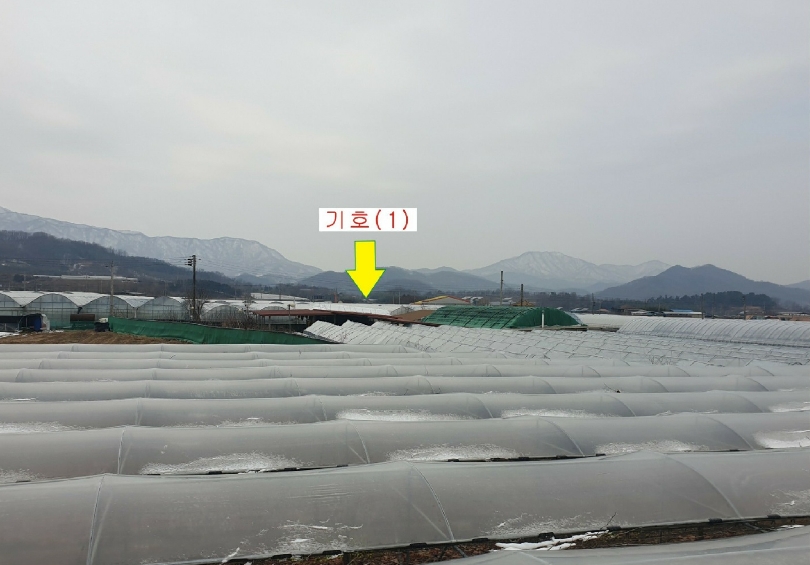 2025타경10699 경매 물건 대표 사진