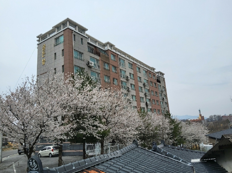 2025타경10889 김천지원 아파트 법원경매 사진