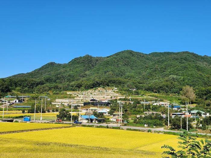 2024타경1578 경매 물건 대표 사진