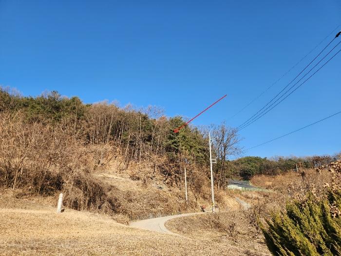 2024타경2038 경매 물건 대표 사진