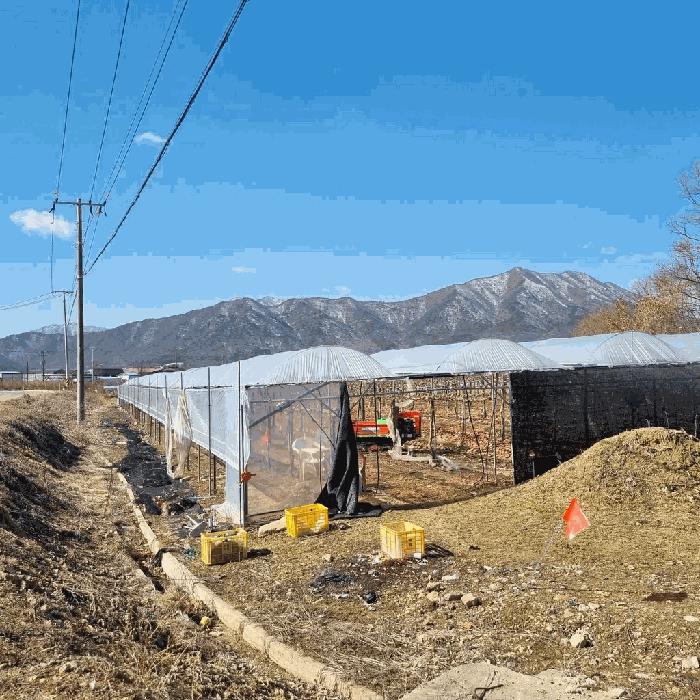 2025타경115 상주지원 전답 법원경매 사진
