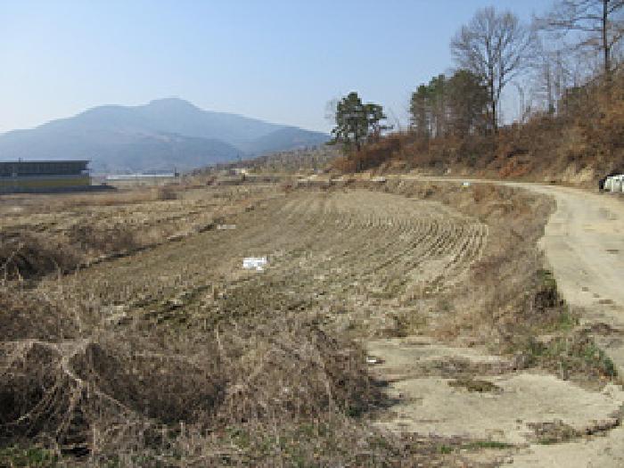 2025타경125 경매 물건 대표 사진