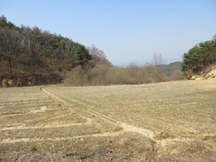 2025타경127 상주지원 임야 법원경매 사진