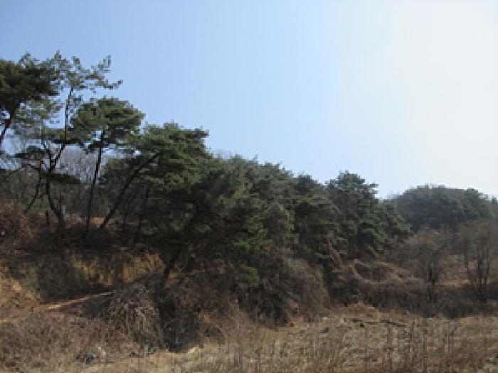 2025타경127 상주지원 전답 법원경매 사진