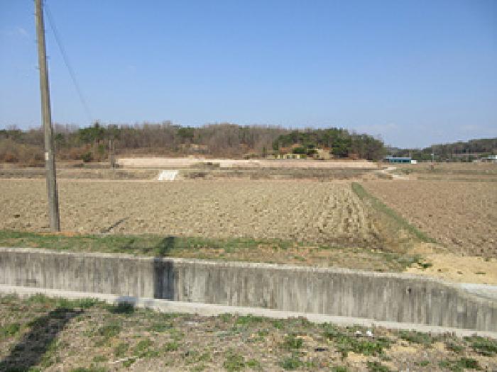 2025타경137 경매 물건 대표 사진