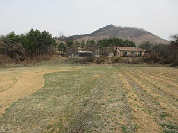 2025타경141 경매 물건 대표 사진