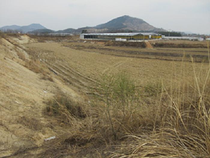 2025타경142 경매 물건 대표 사진