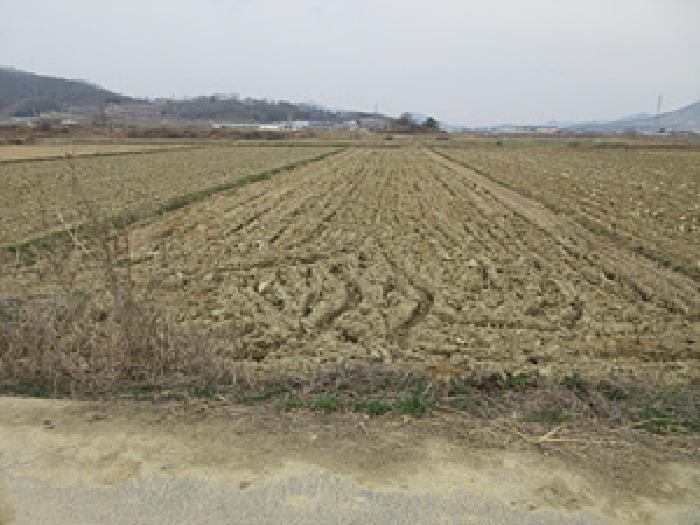 2025타경145 경매 물건 대표 사진