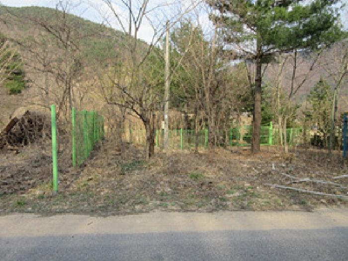 2025타경147 상주지원 대지 법원경매 사진