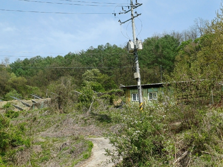 2025타경160 상주지원 임야 법원경매 사진