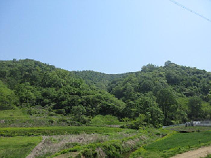 2025타경165 경매 물건 대표 사진