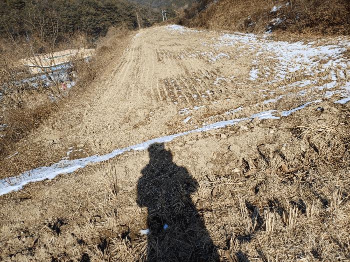 2025타경46 상주지원 답 법원경매 사진