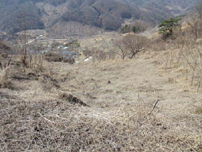 2025타경5240 경매 물건 대표 사진