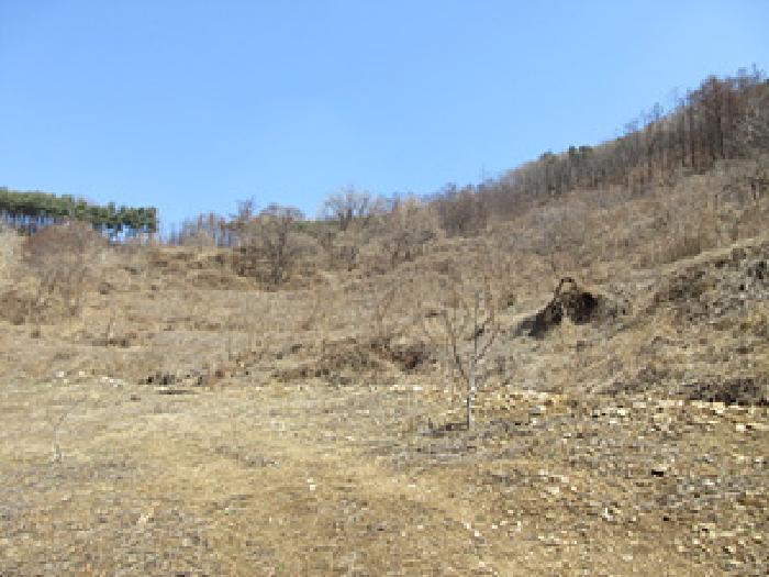 2025타경5240 상주지원 전답 법원경매 사진