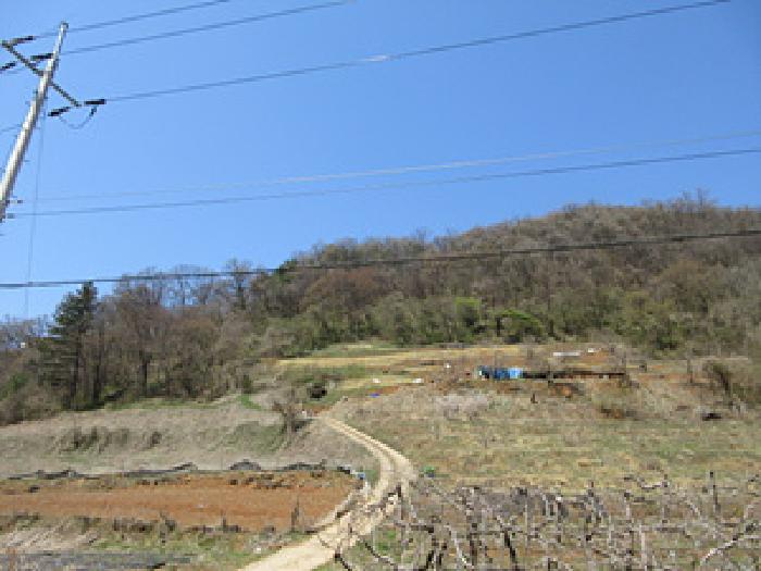 2025타경5264 상주지원 임야 법원경매 사진
