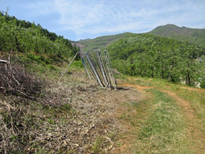2025타경5293 상주지원 전답 법원경매 사진