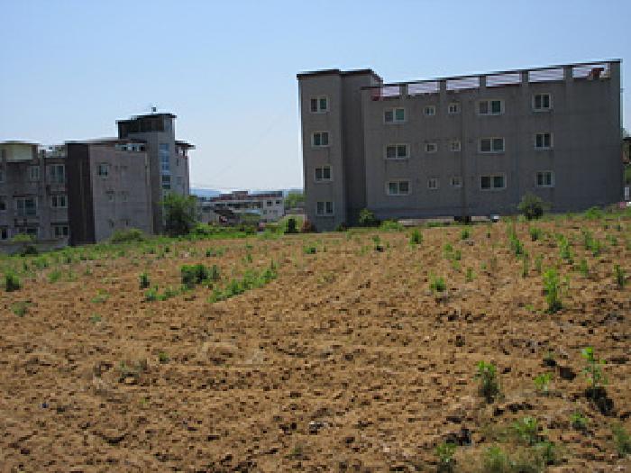 2025타경5312 경매 물건 대표 사진