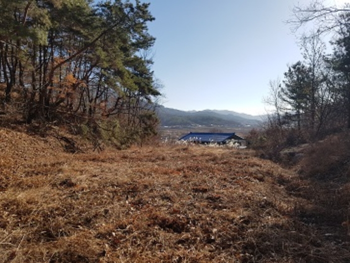 2024타경12199 경매 물건 대표 사진