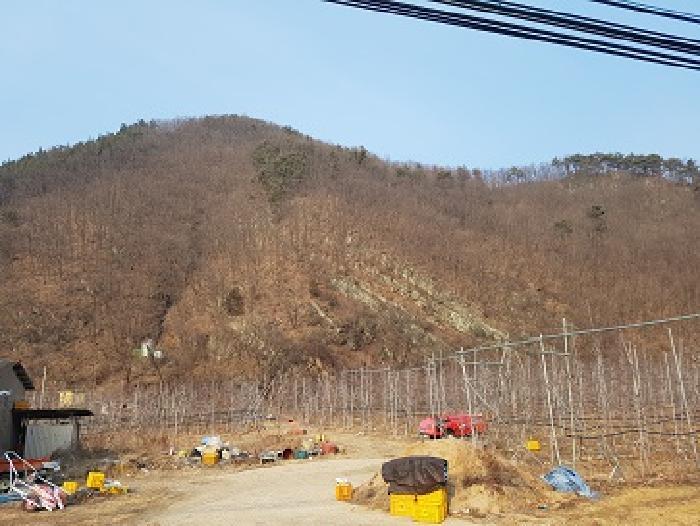 2025타경10060 의성지원 임야 법원경매 사진