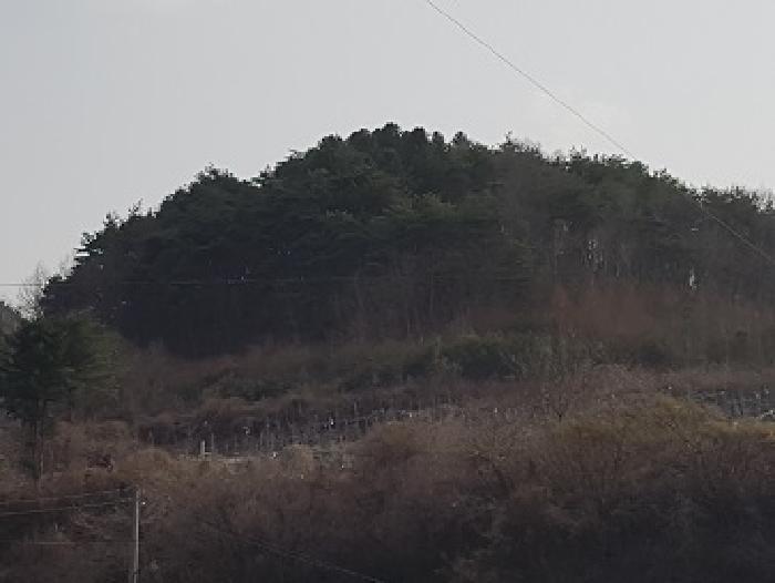 2025타경10140 경매 물건 대표 사진