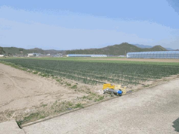 2025타경10156 의성지원 과수원 법원경매 사진