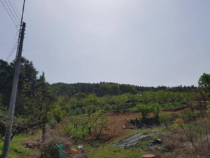 2025타경10167 경매 물건 대표 사진