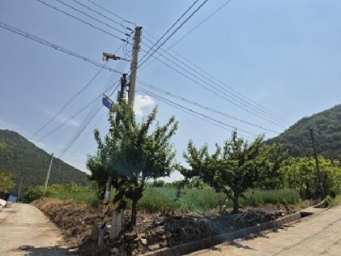 2025타경10187 경매 물건 대표 사진