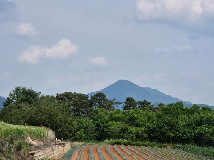 2025타경10189 경매 물건 대표 사진