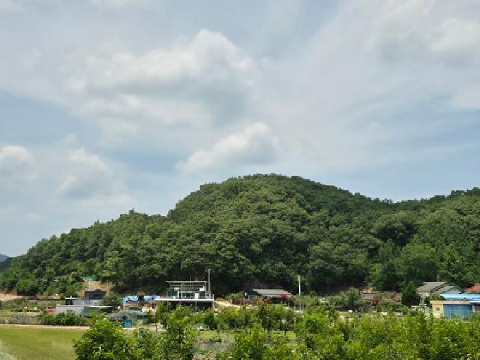 2025타경10192 경매 물건 대표 사진