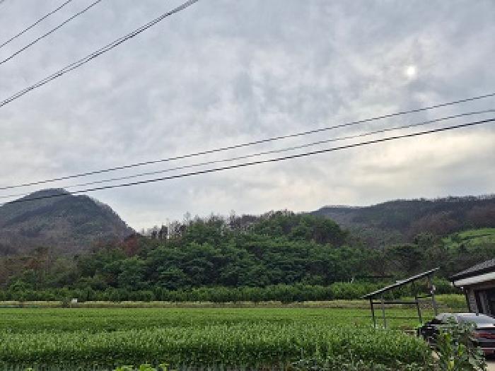 2025타경10235 경매 물건 대표 사진
