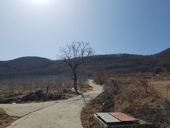 2025타경179 의성지원 임야 법원경매 사진