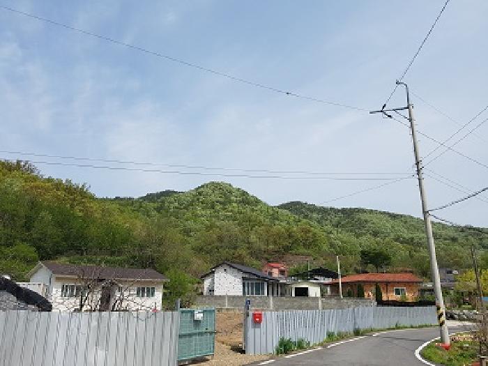 2025타경223 의성지원 임야 법원경매 사진