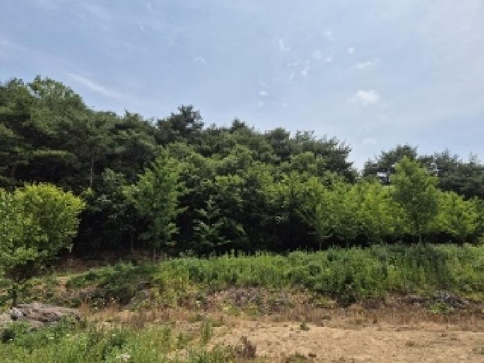 2025타경285 경매 물건 대표 사진